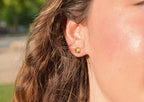SHELL - Mopale